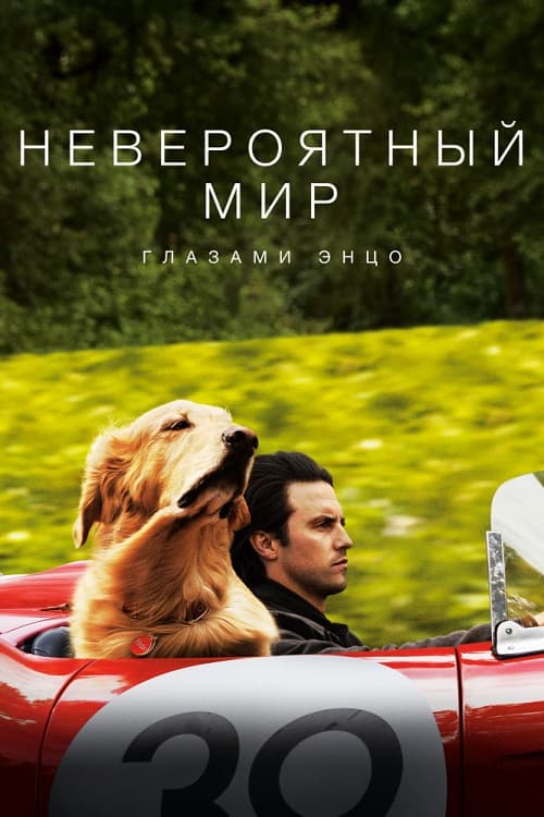 Невероятный мир глазами Энцо / The Art of Racing in the Rain (2019/BDRip) 1080p | iTunes