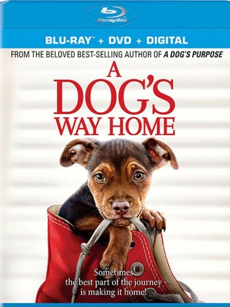 Путь домой / A Dog's Way Home (2019/BDRip) 1080p / iTunes