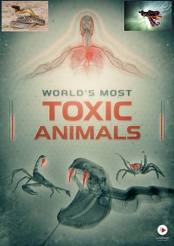 Viasat Nature: Самые ядовитые животные мира / World's Most Toxic Animals [2 серии из 2] / (2021/HDTVRip) 720p