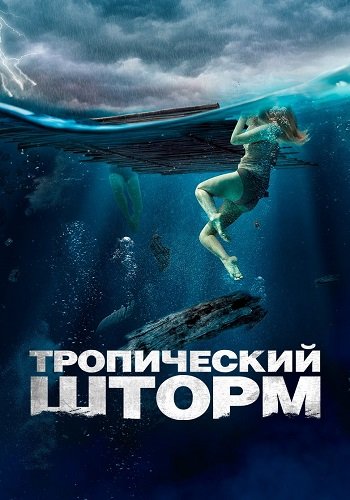 Тропический шторм / The Requin (2022/BDRip) 1080p | OKKO